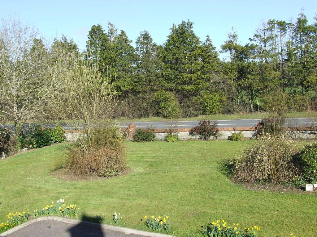 Rockfield House B&B Killarney Dış mekan fotoğraf