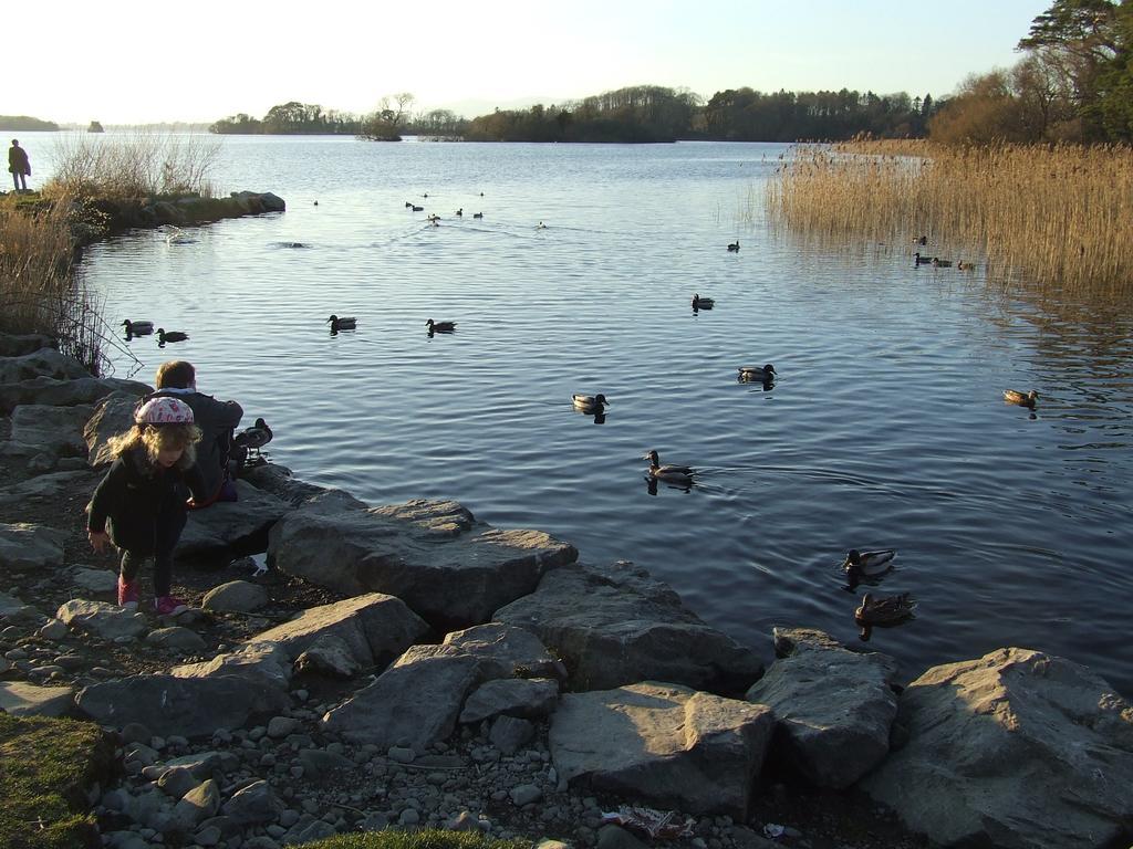 Rockfield House B&B Killarney Dış mekan fotoğraf