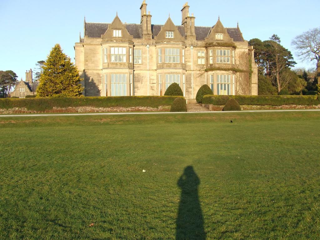 Rockfield House B&B Killarney Dış mekan fotoğraf