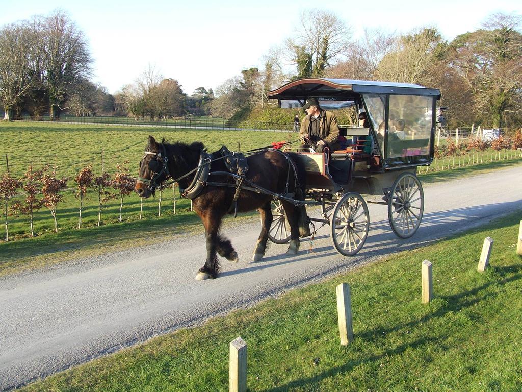 Rockfield House B&B Killarney Dış mekan fotoğraf